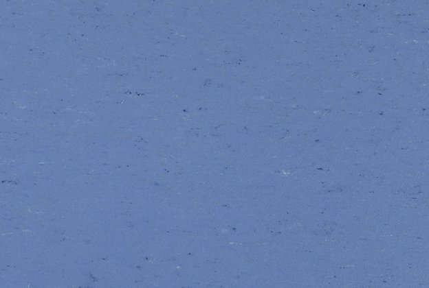Linoleum 0004 Bluebird_1