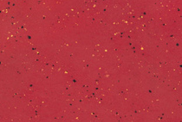 Linoleum 0015 Bländande Röd_1