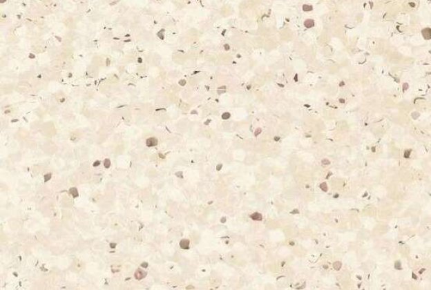 PVC Commercial Space 0322 Jicama_1