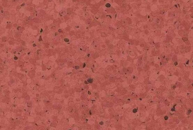 Коммерческое помещение из ПВХ 0330 Litchi_1