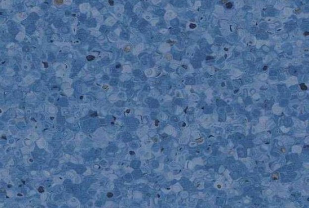 Коммерческое помещение из ПВХ 0349 Bluecrop_1