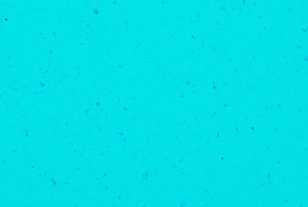 PVC-kauppatila 5437 Reef Water_1
