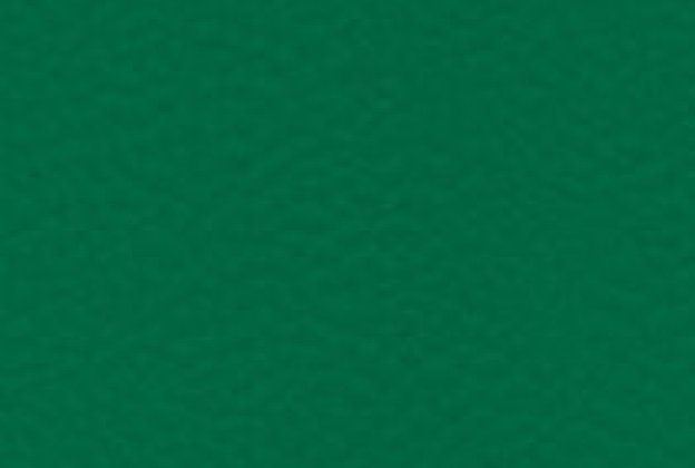 Sportpõrand Gerflor Taraflex Comfort 6557 Forest roheline_1