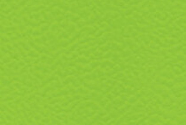 Sportpõrand Gerflor Taraflex Comfort 6559 Spring roheline_1