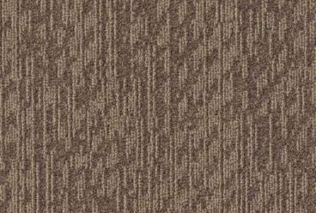 TÅKE_1