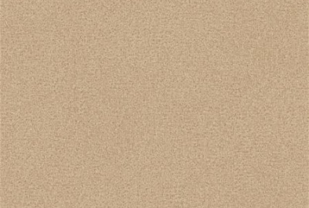 CARMEN 029L_1