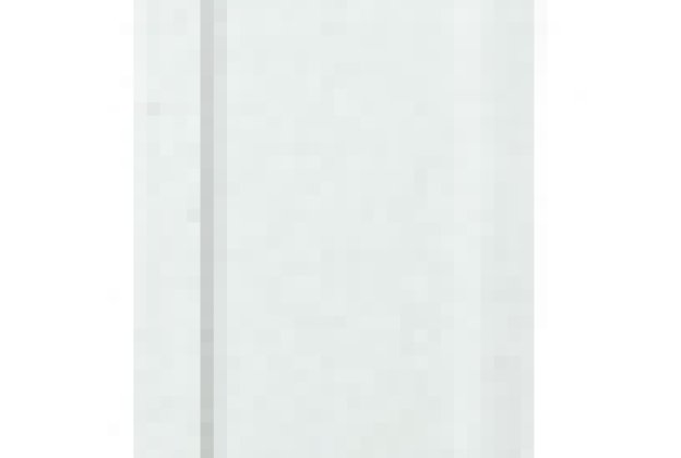 Pilaster 2030 _1