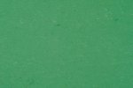 Linoleum 0006 Vivid Green_1