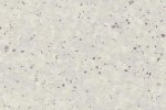 PVC-liiketila 0696 Ginger_1