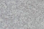Коммерческое помещение из ПВХ 0697 Greenstone_1