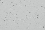 PVC kommersiell plass 5411 Atlantic Grey_1