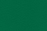 Sportpõrand Gerflor Taraflex Comfort 6557 Forest roheline_1