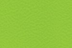 Sportpõrand Gerflor Taraflex Comfort 6559 Spring roheline_1