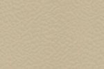 Sportpõrand Gerflor Taraflex Comfort 6347 Beige beez_1