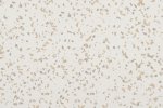 Akustiline PVC Gerflor Mipolam Affinity Acoustic 4401 Quartz hall_1