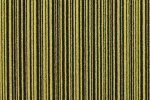 Plaatvaip Paragon CODEC PATHWAY 5151 kollane_1