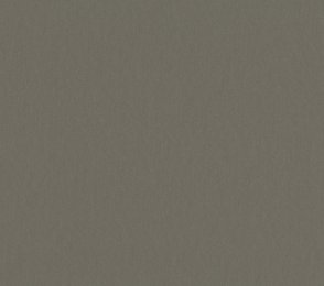 Linoleum Gerflor Acoustic Plus Uni Walton 0058 Clay Grey hall