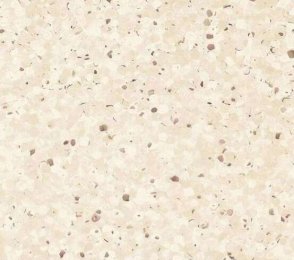 PVC Commercial Space 0322 Jicama