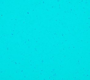 PVC äriruumi Gerflor Mipolam Planet 5437 Reef Water sinine