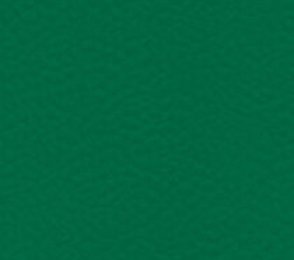 Sportpõrand Gerflor Taraflex Comfort 6557 Forest roheline