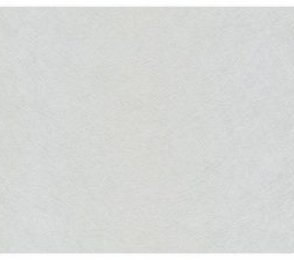 Vinüülseinakate Muraspec Swirled fibres-P4856 hall
